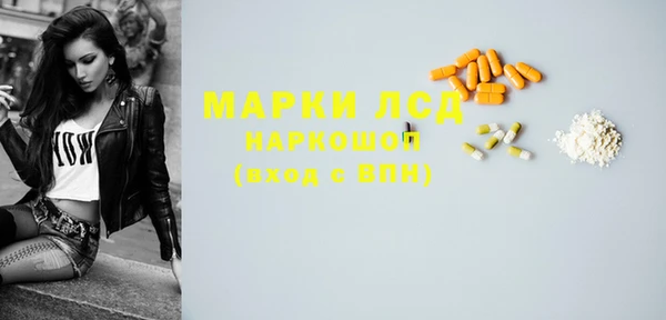 сатива Армянск