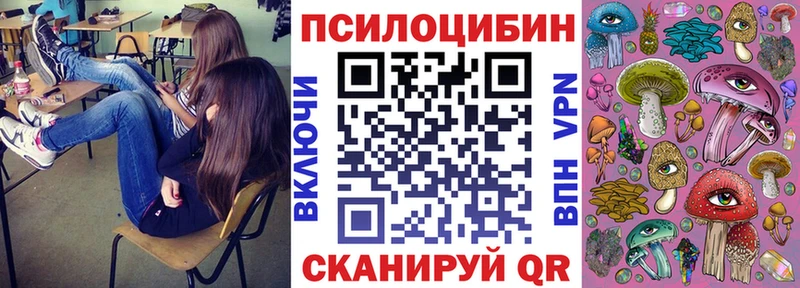 Галлюциногенные грибы Psilocybe  Белогорск 